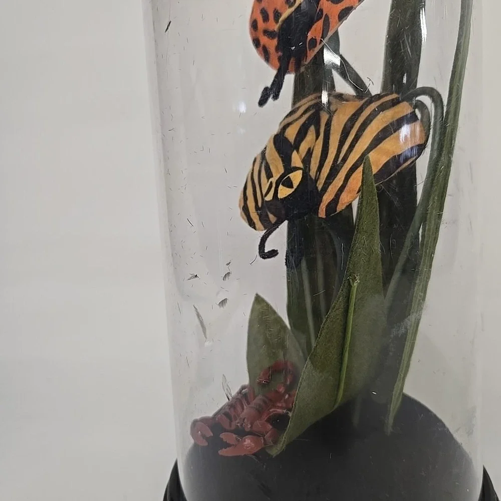 Hyde and EEK! Boutique 2020 Animal Print Halloween Plants Cloche Terrarium‎
